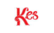 KesVisum logo
